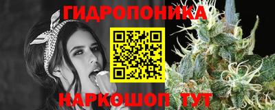 мдпв Сланцы