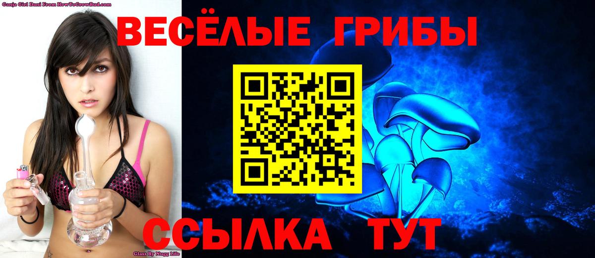 Новороссийск  Галлюциногенные грибы мухоморы  Вход с VPN 