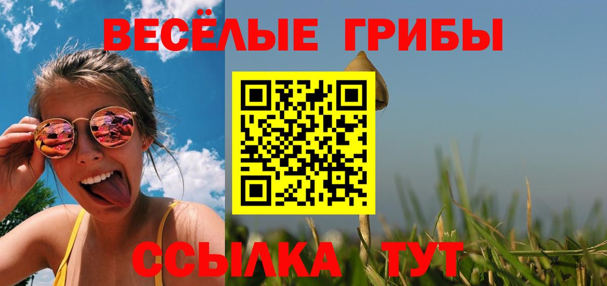 Галлюциногенные грибы мицелий Новороссийск